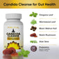 CANDIDA CLEANSE